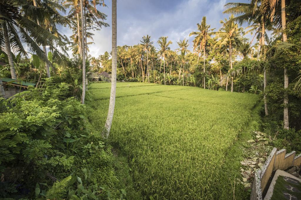 Serenity Ubud Villa & Spa Экстерьер фото